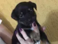Kiara