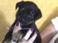 Kiara