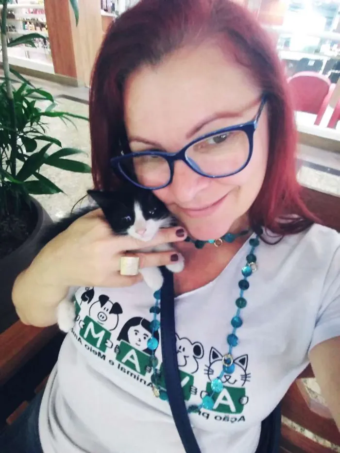 Gato ra a Srd idade Abaixo de 2 meses nome Gatinhos frajolas