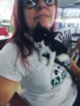 Gatinhos frajolas