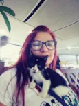 Gatinhos frajolas