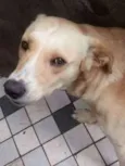 Marley
