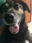 Mia