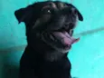Mia