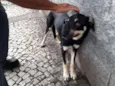 Sem nome