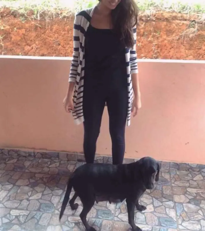 Cachorro raça SRD idade  nome Cacau