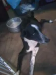RUBI