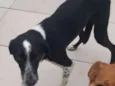 RUBI