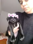 Nina