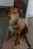 Zoe
