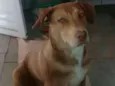 Zoe