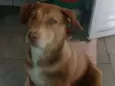 Zoe