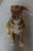 Zoe