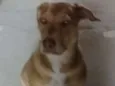 Zoe