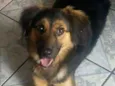 Nayla