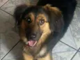 Nayla