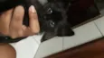 Nina