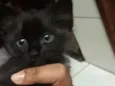 Nina