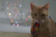 Oliver