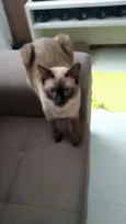 Théo e bebê