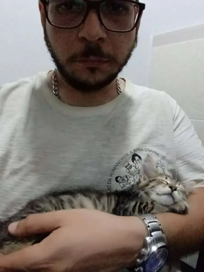 Gato ra a Gatos idade 2 a 6 meses nome Sem nomes
