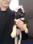 Tita