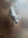 Não tem