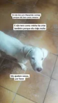 Não tem