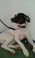 Bingo
