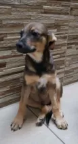 José 
