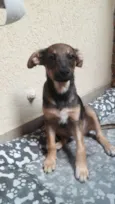 José 