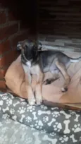 João 