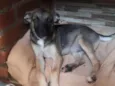 João