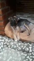 João 