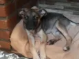 João 