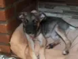 João 