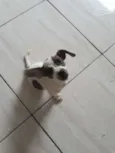 Fiona