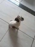 Fiona