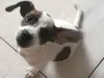 Fiona