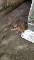 Não tem