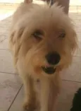 Lindinha 