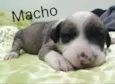 Não tem