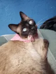 Nina