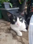 Tom