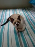 Jerry
