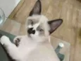 Jerry