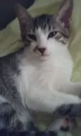 Tom