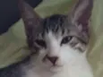 Tom