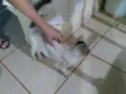 Não sei