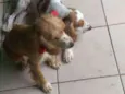 Catarina e Fred